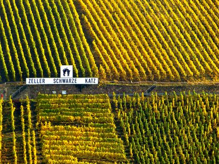 Die Weinlage Zeller Schwarze Katz Auf dem Bild befindet sich das Schild der Weinlage Zeller Schwarze Katz in den Weinbergen.