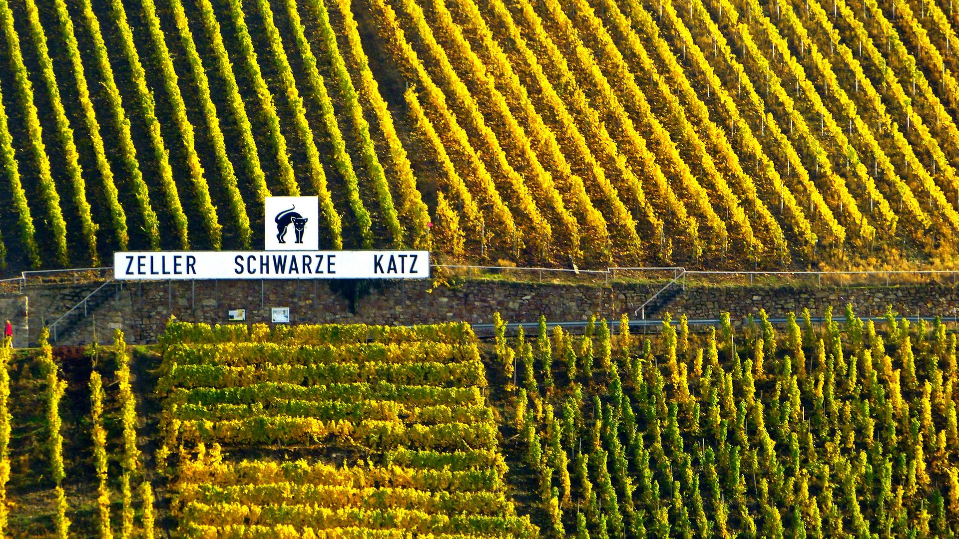 Weinlage  Auf dem Bild befindet sich das Schild der Weinlage Zeller Schwarze Katz in den Weinbergen.