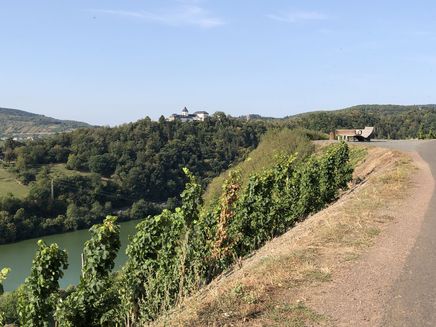 Pissamann Wine Trail The picture shows the asphalted path and a wooden relaxation bench; on the other side you can see Marienburg Castle, situated on a hill.