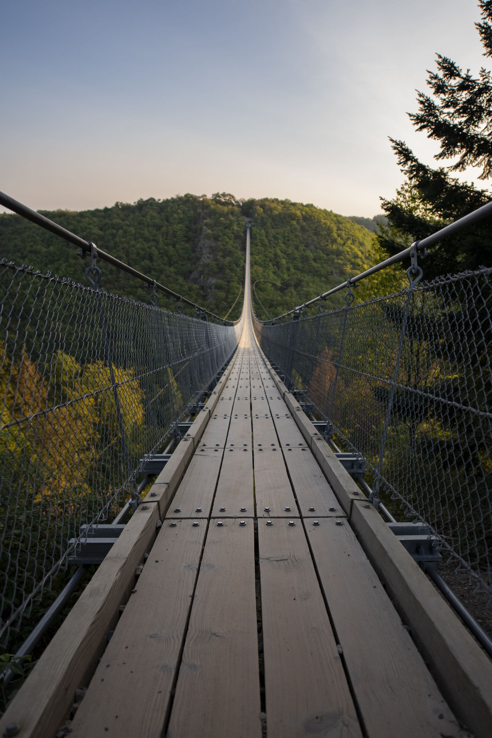 Geierlay Suspension Bridge The picture shows the Geierlay suspension bridge. You have a view over the entire bridge.