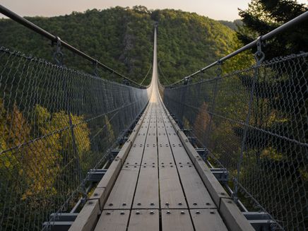 Hängeseilbrücke Geierlay Auf dem Bild befindet sich die Hängeseilbrücke Geierlay. Man hat einen Blick über die komplette Brücke.