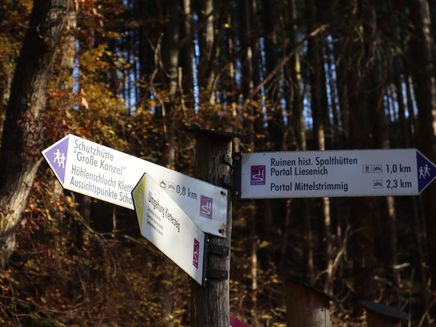 Traumschleife Layensteig Strimmiger Berg The picture shows signs for the Layensteig Strimmiger Berg Traumschleife. The picture shows a Traumschleifen pin. It is purple with white writing. It lies on a slate plate.