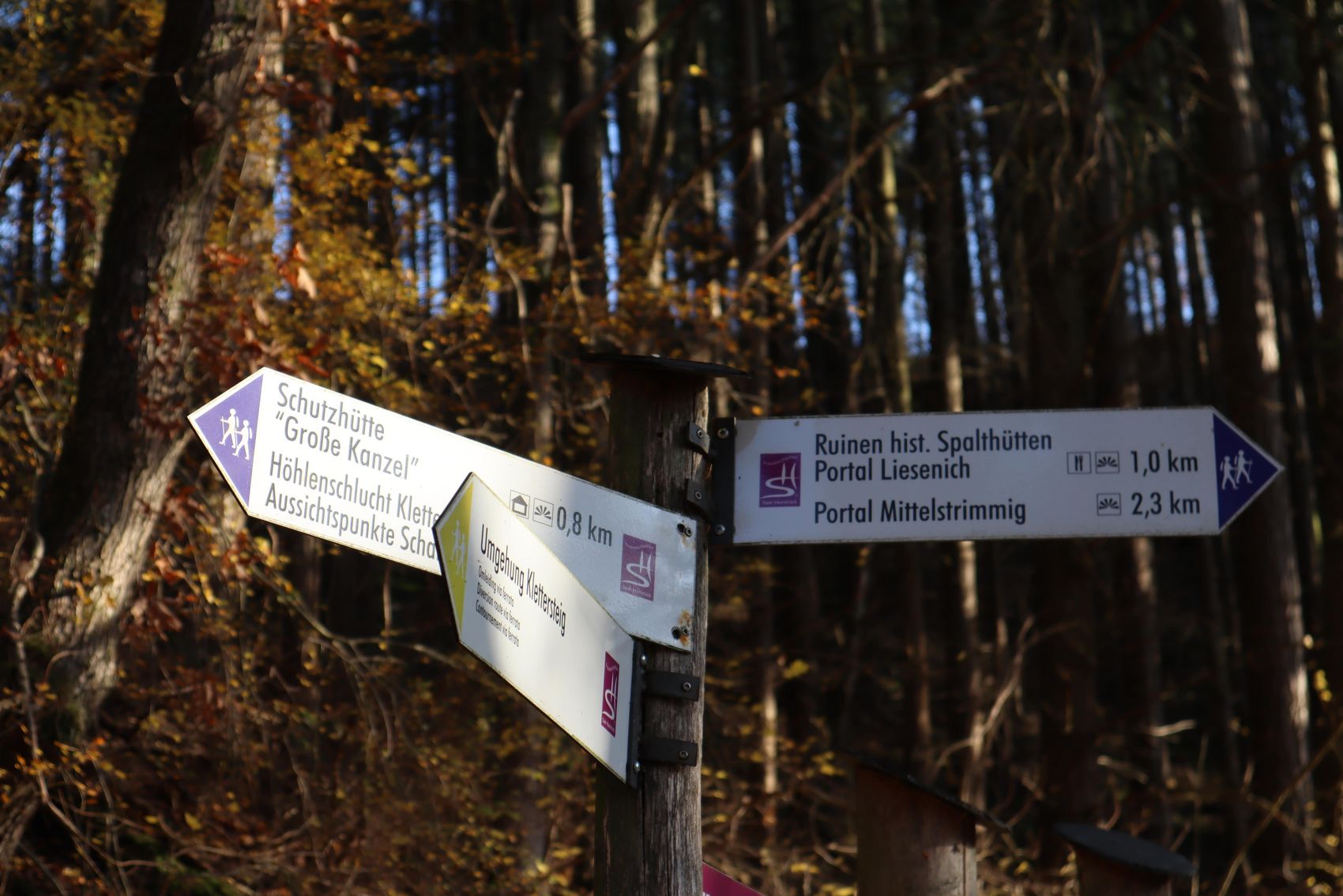 Traumschleife Layensteig Strimmiger Berg Auf dem Bild befinden sich Schilder der Traumschleife Layensteig Strimmiger Berg.