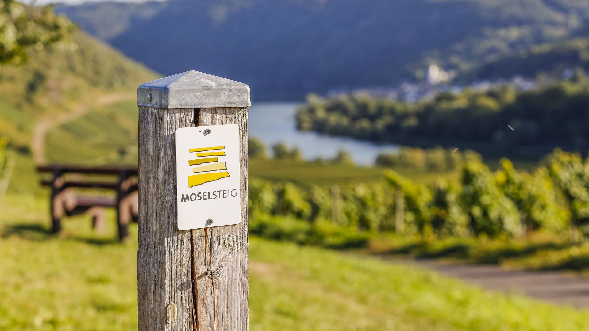 Moselsteig Das Bild zeigt eien Pfosten, an dem ein Moselsteigschild angebracht ist. Dieses dien tals Wegweiser. Im Hintergrund befinden sich die Weinberge und die Mosel.