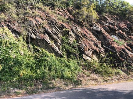 Pissmann Wine Trail The picture shows a grey slate rock wall surrounded by shrubs.