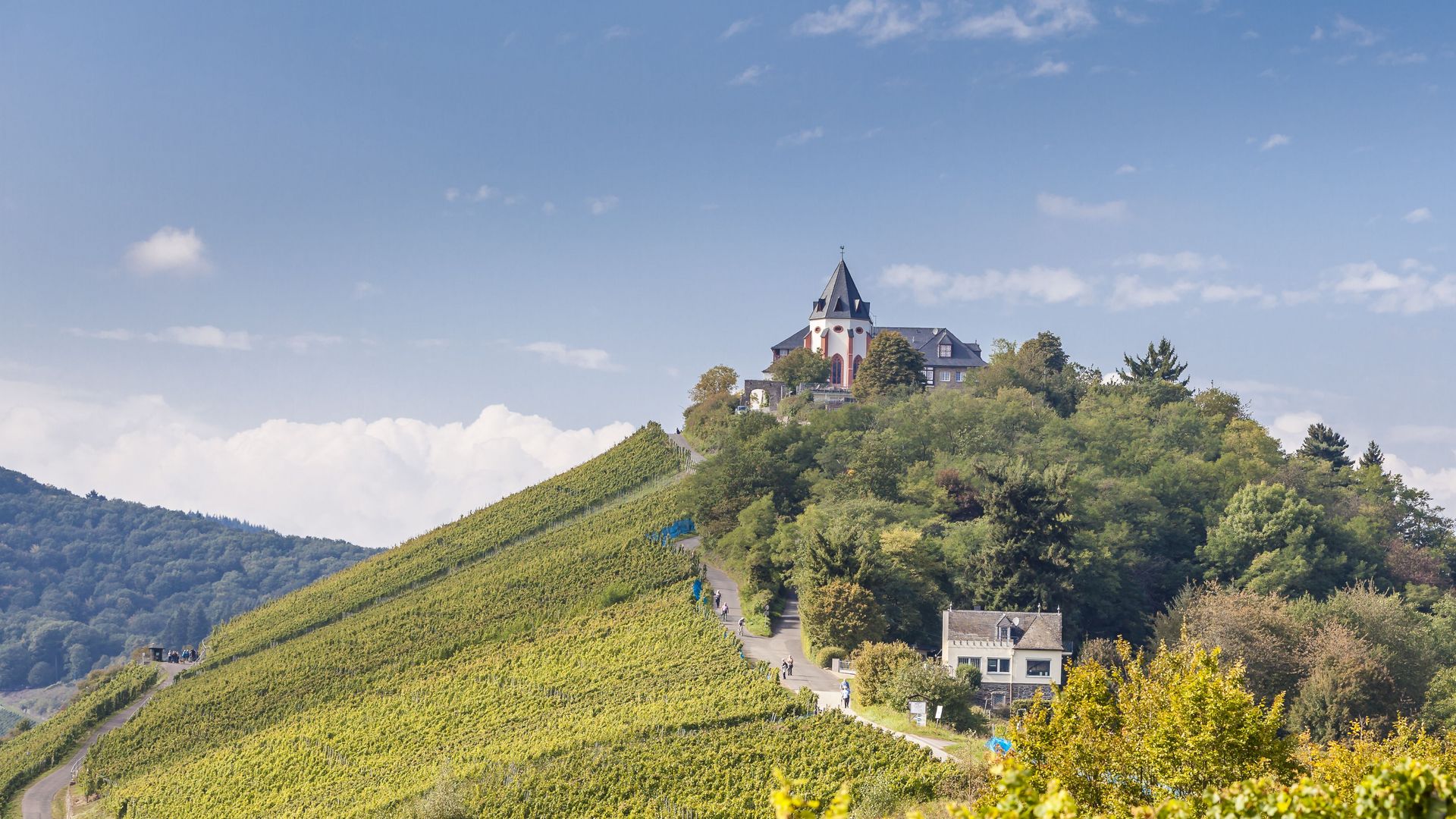 Marienburg Auf dem Bild befinden sich unterhalb Weinberge und oben die Marienburg.