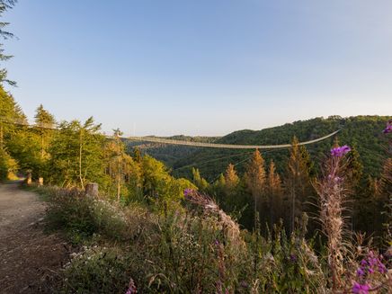 Hängeseilbrücke Geierlay Auf dem Bild befindet sich die Hängeseilbrücke Geierlay in Sosberg. Auf dem Bild hat man den Blick seitlich auf die komplette Brücke.