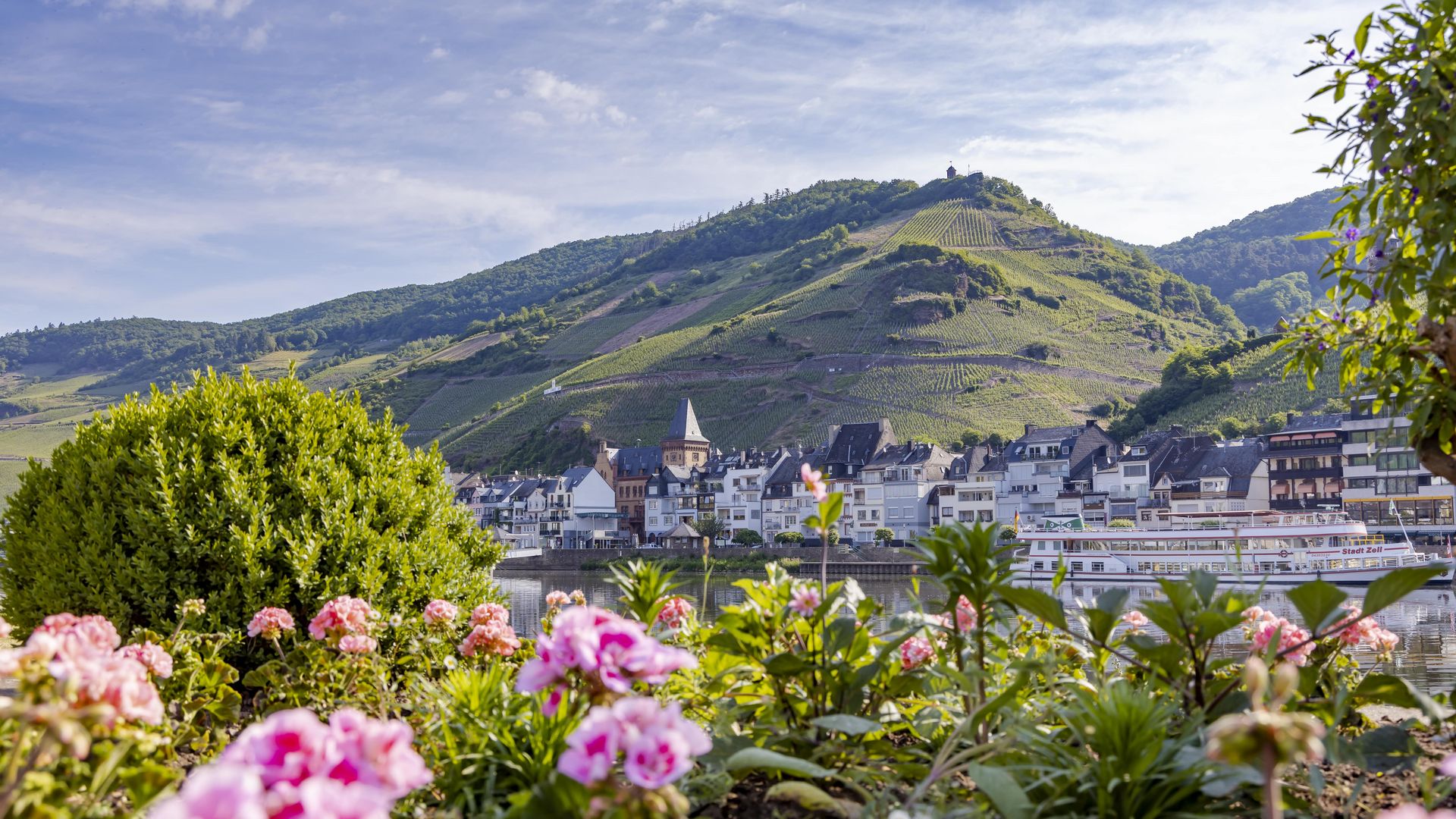 Zell (Mosel) The picture is a shot of the town of Zell taken from the opposite side of the Mosel. In the foreground are flowers and in the background is the town of Zell with a ship in front of it. Behind Zell, the vineyards can be seen.