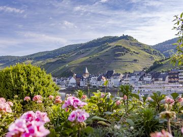 Das Bild ist eine Aufnahme von der Stadt Zell, die von der gegenüberliegenden Moselseite aufgenommen wurde. Im Vordergrund befinden sich Blumen und im Hintergrund die Stadt Zell, vor der ein Schiff steht. Hinter Zell sind die Weinberge zu erkennen.