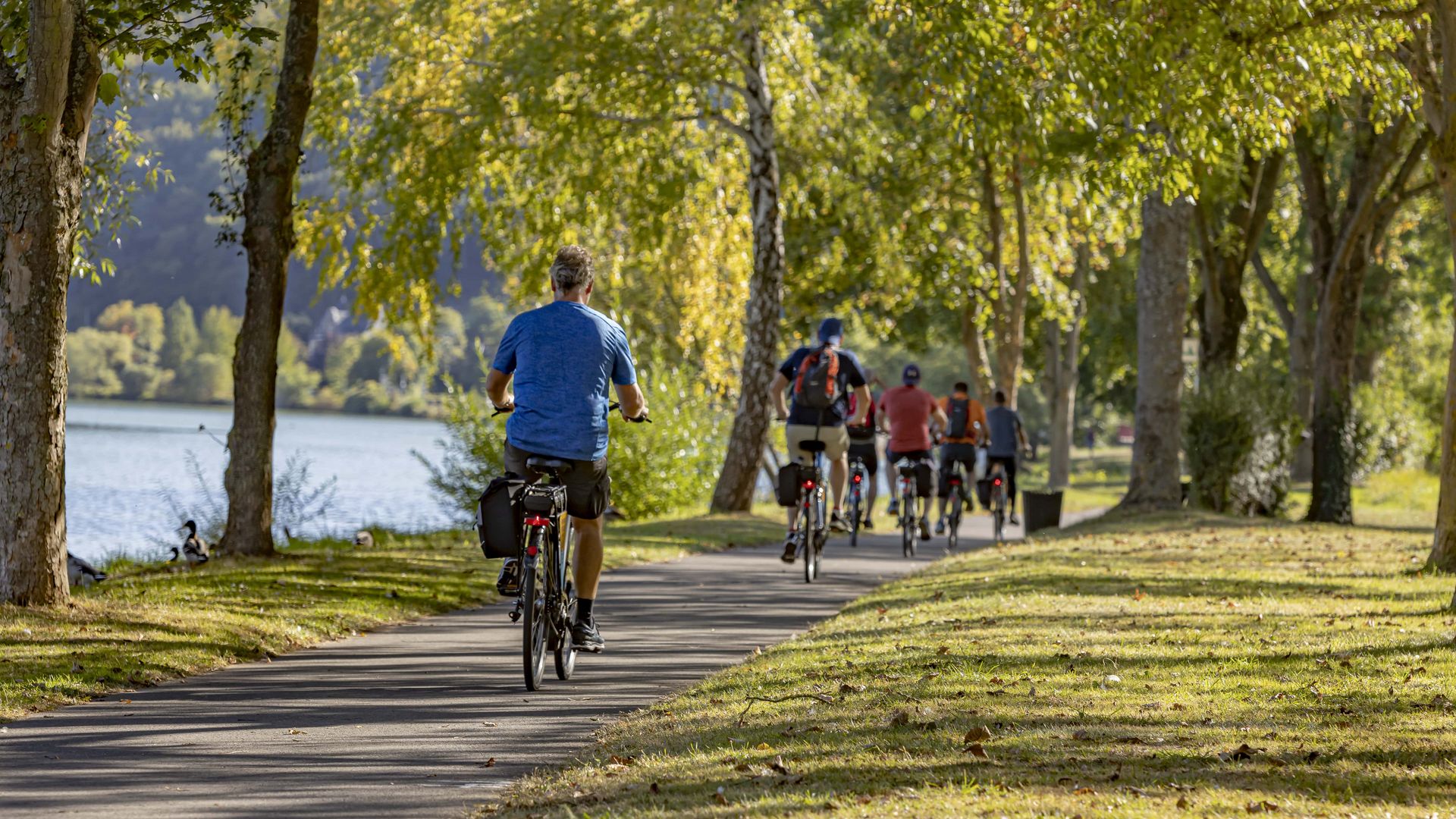 Moselradweg Das Bild zeigt eine kleine Gruppe von sechs Personen, die an der Mosel radfahren. Rechts und links vom Radweg befinden sich Bäume.