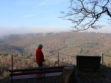 Traumschleife Layensteig Strimmiger Berg The picture shows Karl Rainer Manderscheid looking over the woods of the Layensteig Strimmiger Berg Traumschleife.