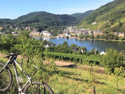 Mountainbiketour The picture shows a mountain bike in the foreground and the Moselle and the village of Alf in the background.
