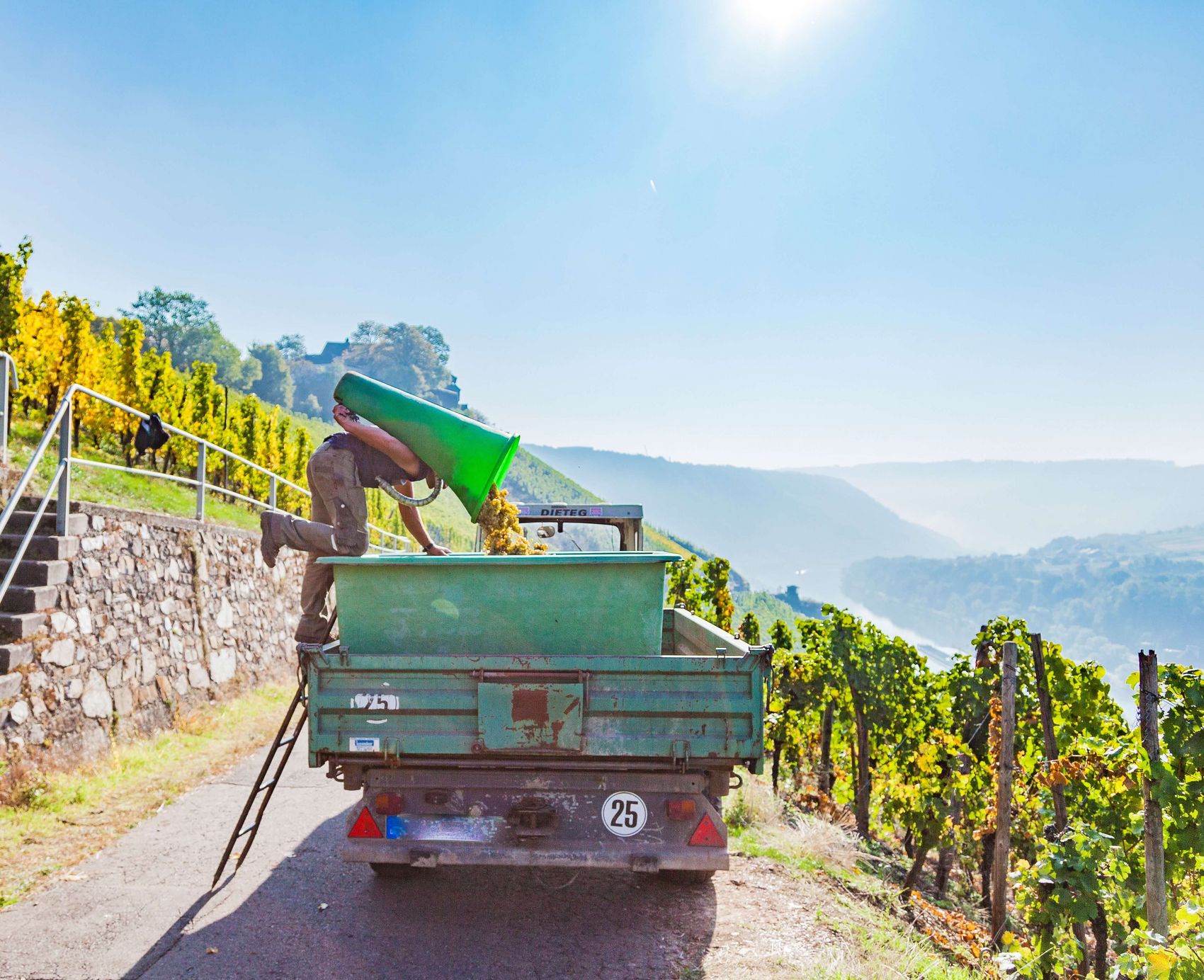 Grape harvest The picture shows a harvest wagon with a harvest worker emptying his grape vat. The sky is very blue and the sun is shining.