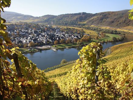 Ortsansicht Pünderich Das Bild ist auf der gegenüberliegenden Seite aus den Weinberge aus aufgenommen worden. Auf dem Bild befindet sich die Mosel und der Ort Pünderich.