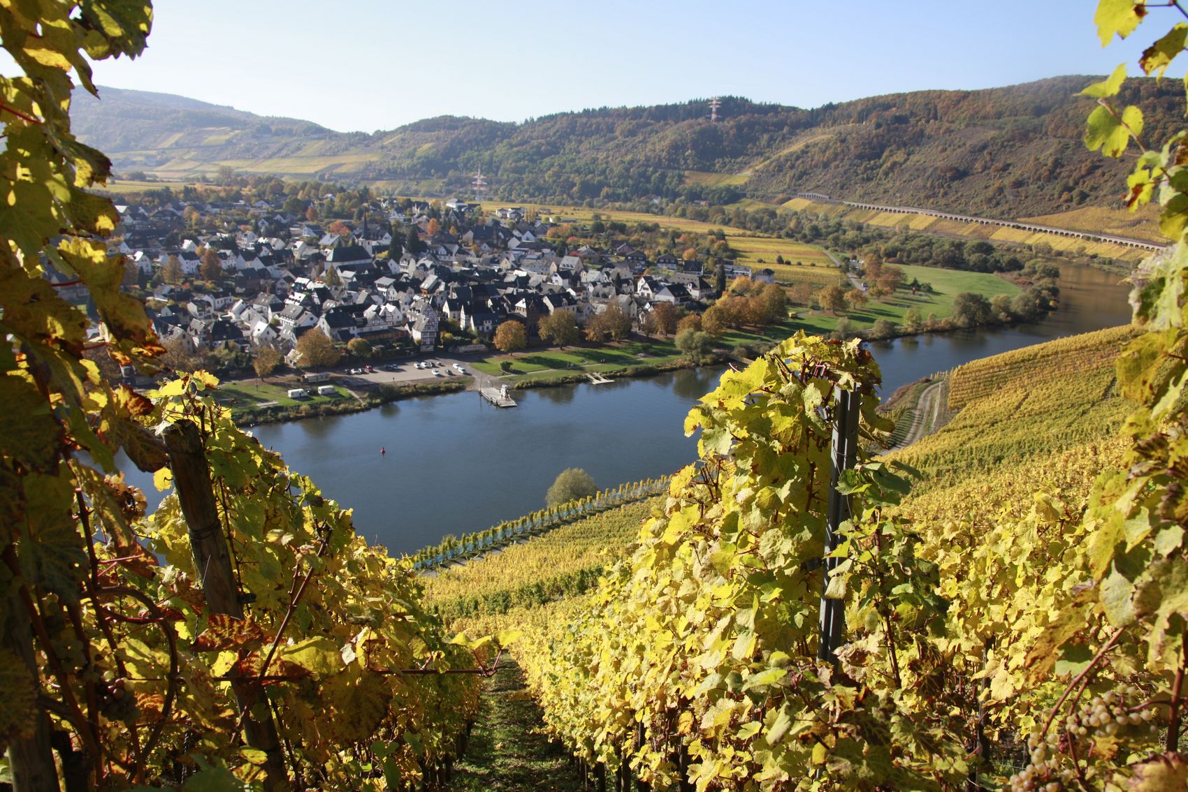 Village view Pünderich The picture was taken on the opposite side from the vineyards. The picture shows the Mosel and the village of Pünderich.