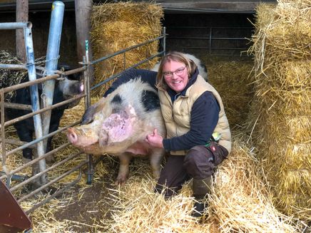 Herr Luckenbach mit seinem größten Eber Auf dem Bild befindet sich Herr Luckenbach kniend neben seinem größten Eber. Er hat den Arm um das Schwein gelegt.