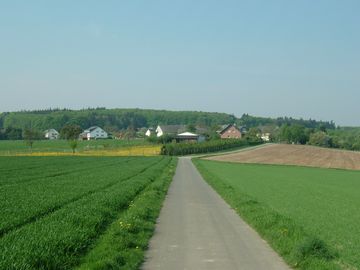 In the picture there is meadow on the left and right and in the background is the village of Forst.