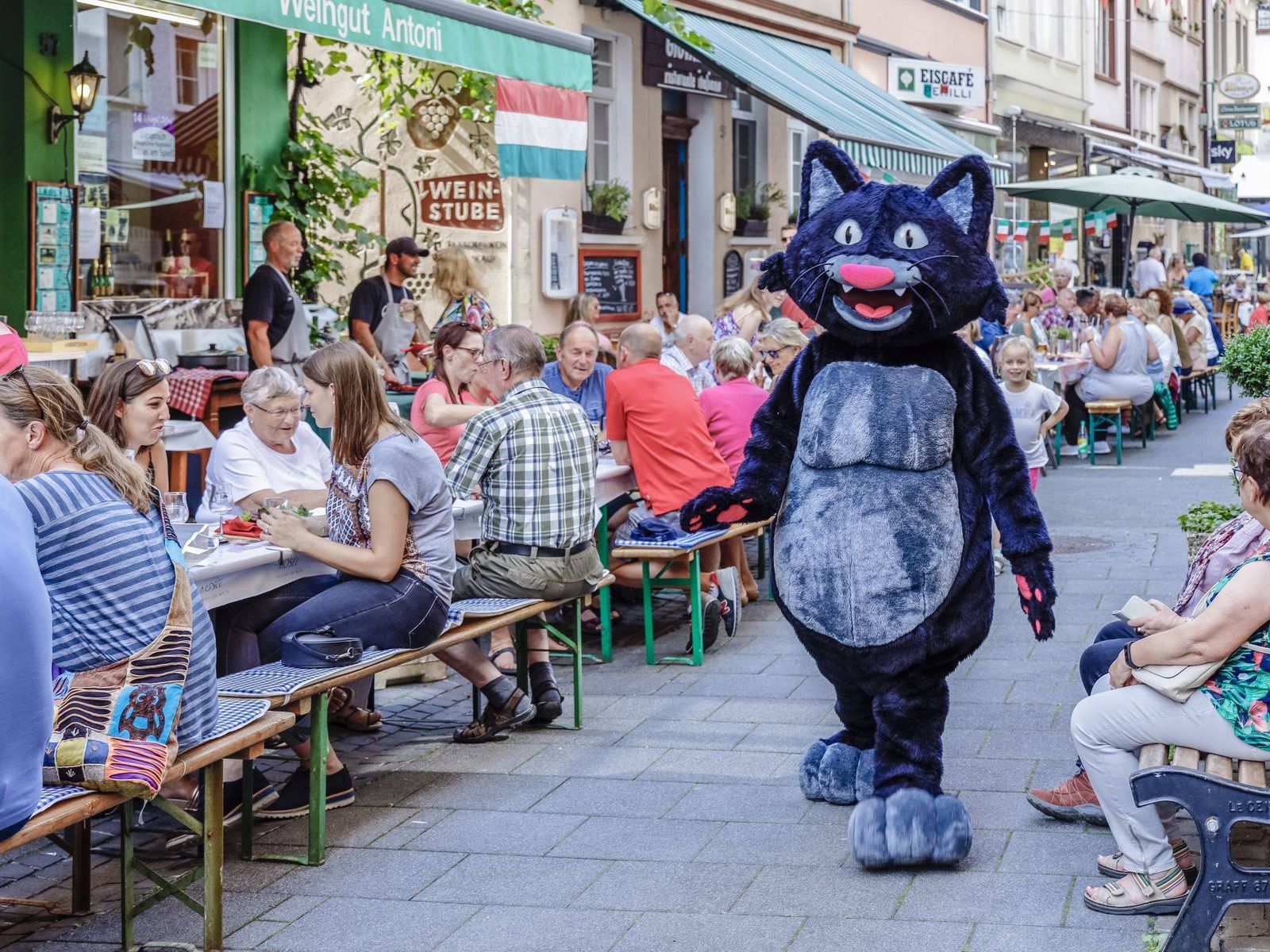 Zell Schwarze Katz Fest