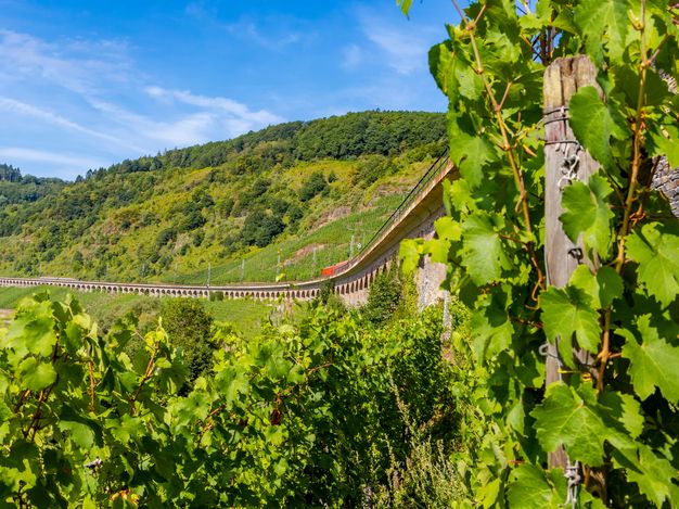 Auf dem Bild sieht man Weinberge und das Hangviadukt Pünderich