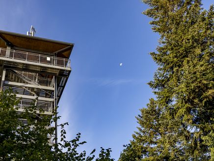 Prinzenkopfturm The picture shows the Prinzenkopf tower surrounded by trees. The moon can be seen in the sky.