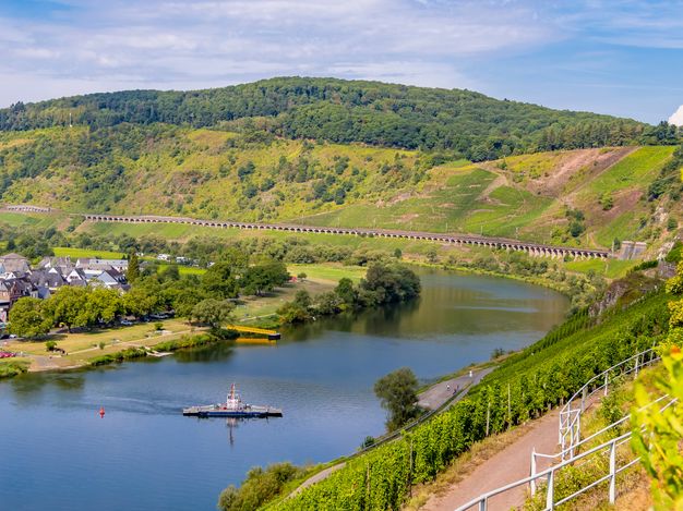 Auf dem Bild sieht man die Weinberge rund um Pünderich und das Pündericher Hangviadukt