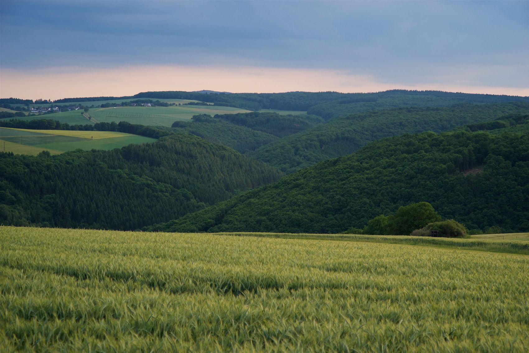 Hunsrück Das Bild zeigt einen weiten Ausblick über den Hunsrück bei rosa-farbigem Himmel. Es sind Felder und Bäume zu erkennen.