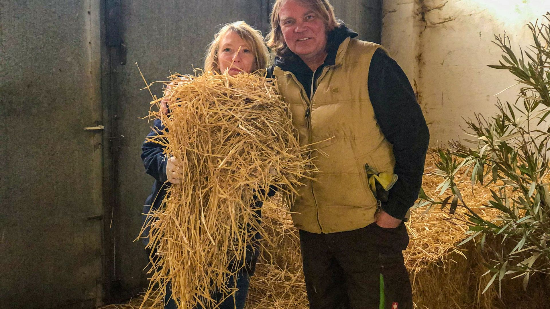 Bioschweinehof Althaus-Zell