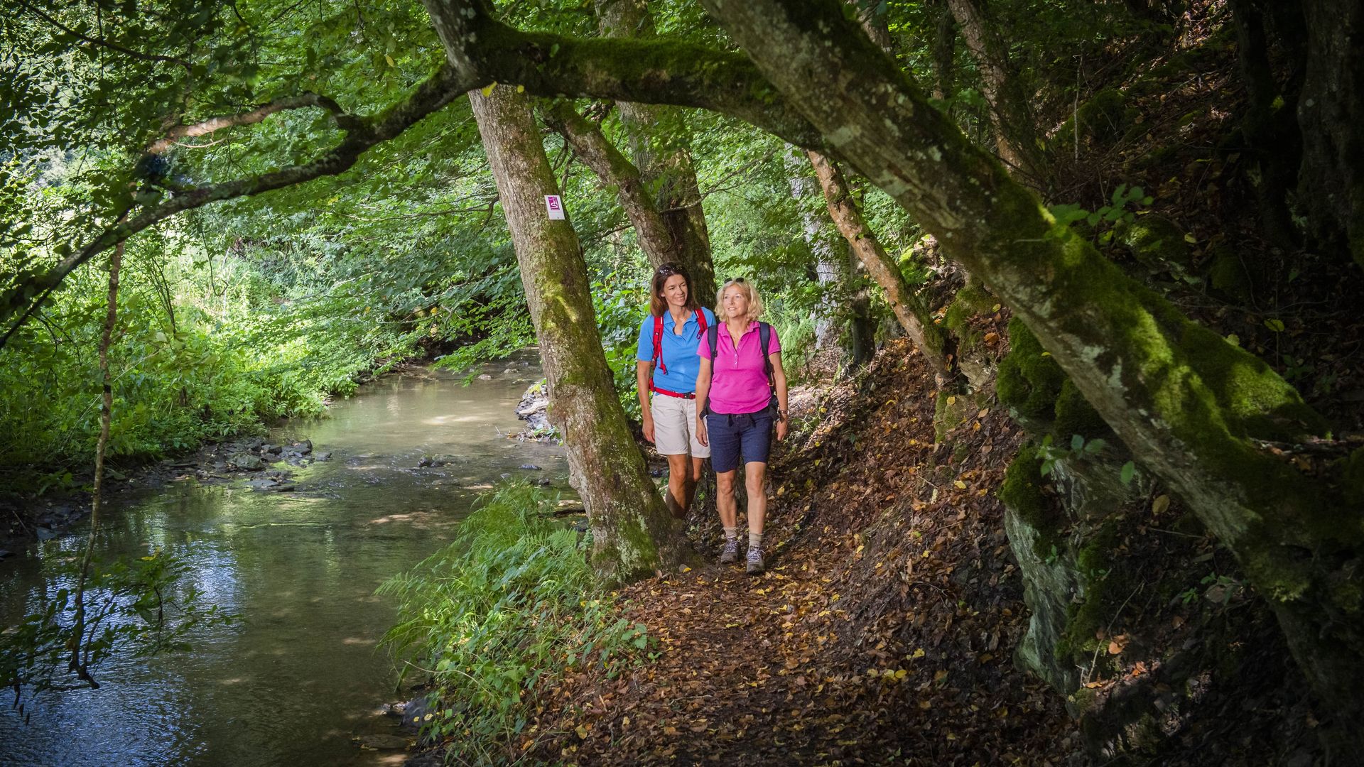 Moselsteig & Saar-Hunsrück-Steig Auf dem Bild befinden sich zwei Frauen am Wegrand neben einem Bach. Sie gehen die Traumschleife Layensteig Strimmiger Berg.
