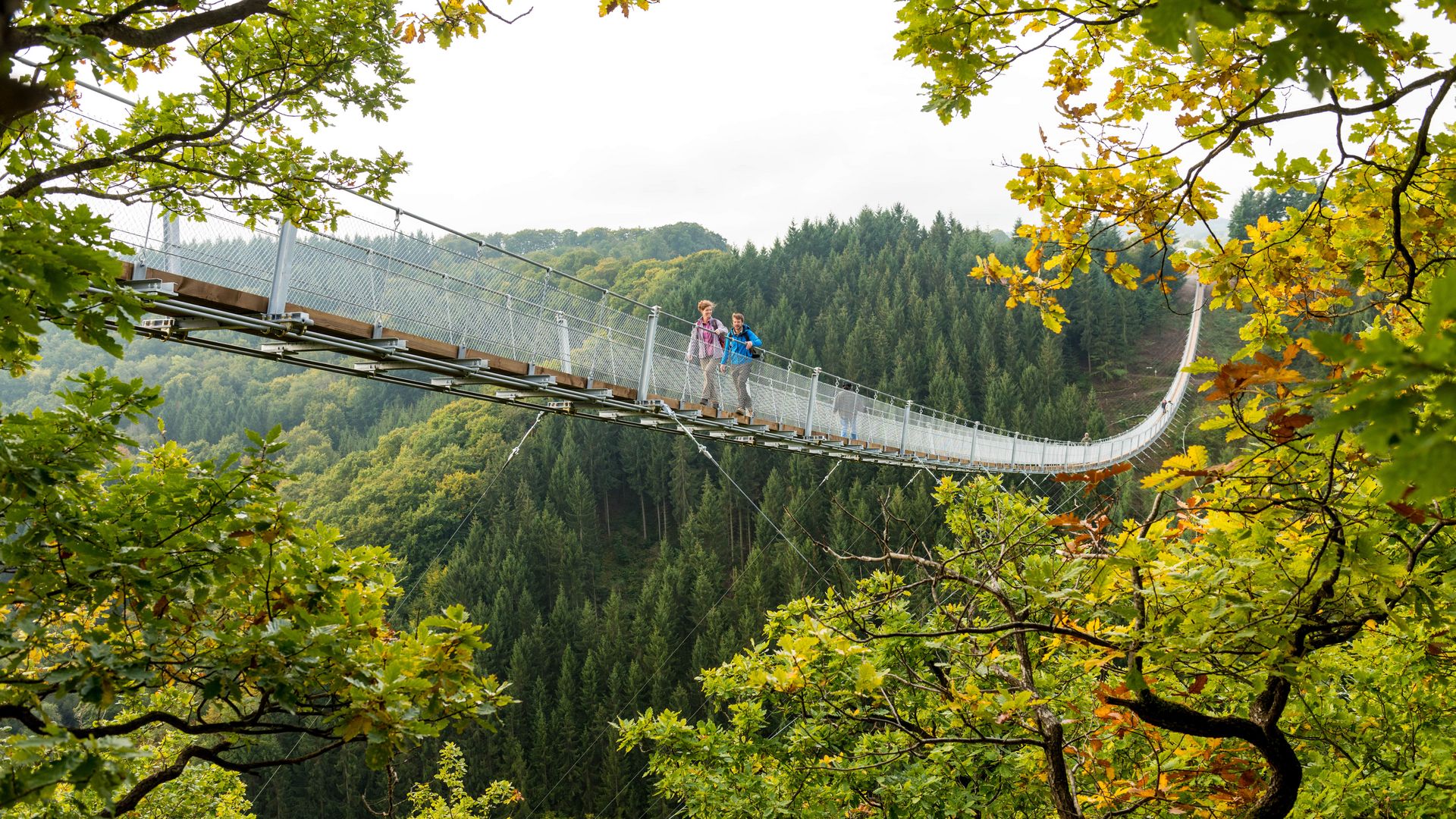 Hängeseilbrücke Geierlay Auf dem Bild befindet sich die Hängeseilbrücke Geierlay in Sosberg. Auf der Brücke geht ein Mann und eine Frau.