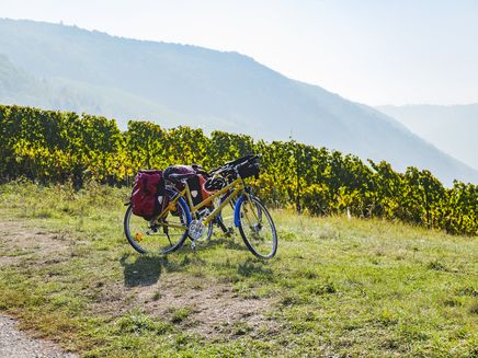 Bicycle The picture shows two bicycles with luggage standing in the vineyards.