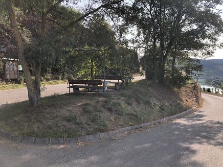 Pissamann Wine Trail The picture shows two wooden benches and a table surrounded by two deciduous trees.