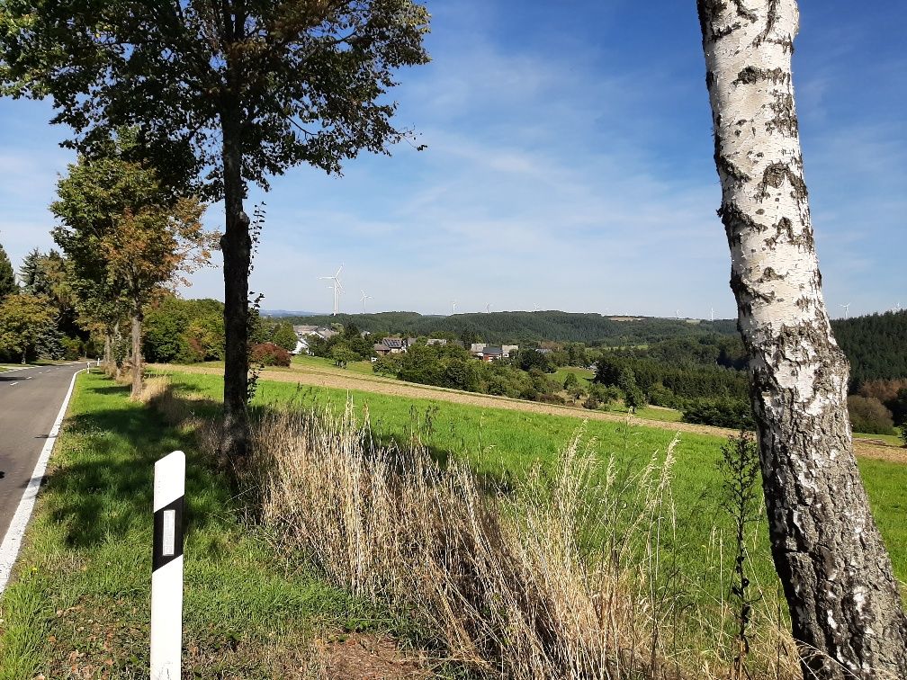 Sosberg Auf dem Bild befindet sich eine Wiese. Diese liegt neben einer Straße.