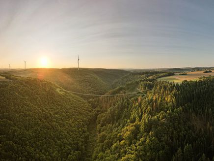 Hängeseilbrücke Geierlay Auf dem Bild befindet sich die volle Ansicht der Hängeseilbrücke Geierlay bei Sonnenuntergang. Drum herum befindet sich Wald und Bäume.