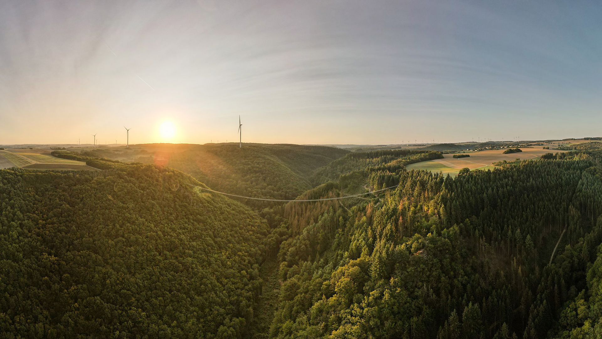 Hängeseilbrücke Geierlay Auf dem Bild befindet sich die volle Ansicht der Hängeseilbrücke Geierlay bei Sonnenuntergang. Drum herum befindet sich Wald und Bäume.