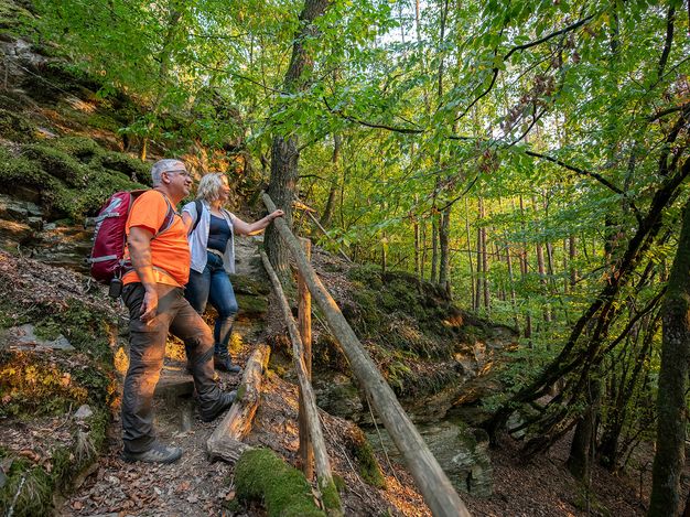 Das Bild zeigt ein paar auf dem Pfad bergauf durch einen Laubwald.