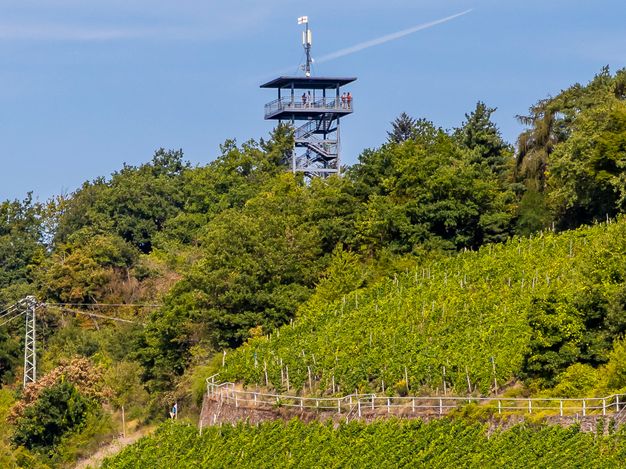 Das Bild zeigt den Prinzenkopfturmauf der Bergkuppe, umgeben von Weinbergen.