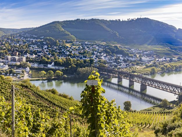 Das Bild zeigt den Moselort Bullay mit der Doppelstockbrücke, die die Mosel kreuzt. Das Bild wurde von den Weinbergen in Alf aus aufgenommen, wodurch diese im Vordergrund zu erkennen sind.