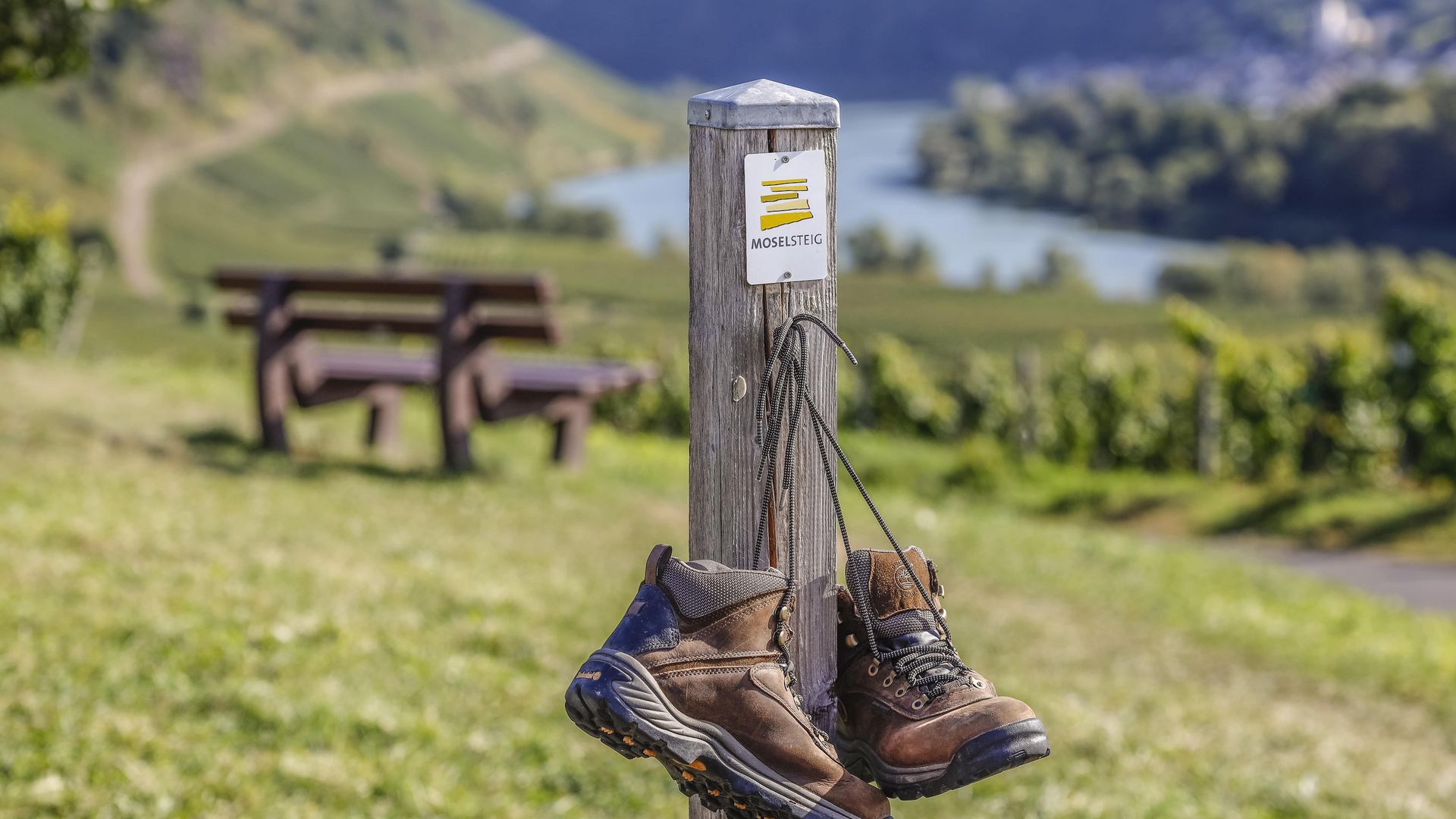 Moselsteig Das Bild zeigt Wanderschuhe, die an dem Schild des Moselsteigs hängen. Im Hintergund erkennt man eine Bank, die Weinberge und die Mosel.