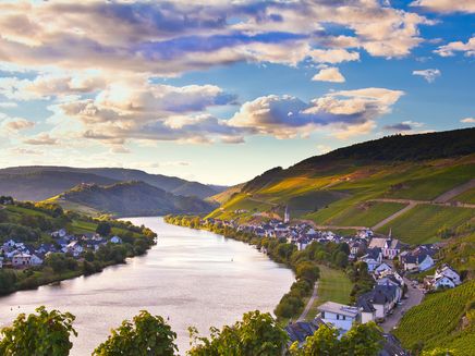 View of Zell-Merl Zell-Merl is a district of the town of Zell on the Mosel. In the background you can still see the Marienburg.