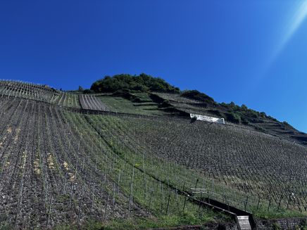 Wines with a view - Königslay-Terrassen The picture shows the view from the Königslay terraces.