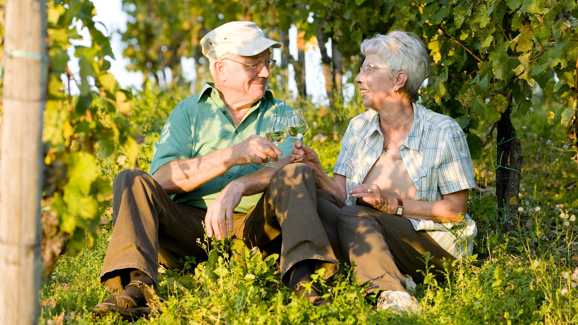 Wein genießen Das Bild zeigt ein glückliches Ehepaar, welches in den Weinbergen sitzt und mit Ihren Weingläsern anstoßen.