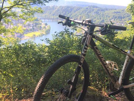 Guided mountain bike tour The picture shows a mountain bike on a hill and in the background is the Mosel.