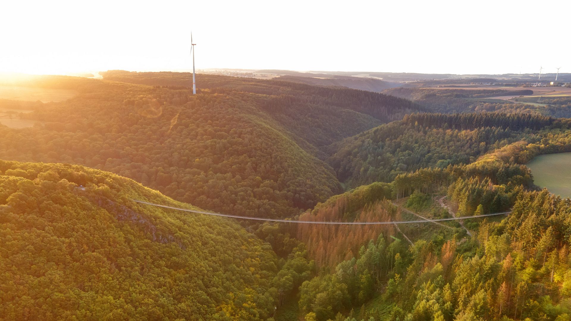 Sosberg AThe picture shows the full view of the Geierlay suspension bridge at sunset. Around it is forest and trees.