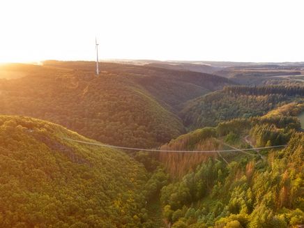 Hängeseilbrücke Geierlay Auf dem Bild befindet sich die volle Ansicht der Hängeseilbrücke Geierlay bei Sonnenuntergang. Drum herum befindet sich Wald und Bäume.